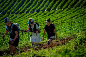 BIB: 197
                            <button type="button" onclick="openModal(19161097)" class="btn btn-primary btn-sm float-right btn-popup" data-toggle="modal" data-target=".modal-high-quality">
                        <i class="fas fa-shopping-cart"></i> Add to Cart
                    </button>
                                            <button type="button" onclick="isThisMe(19161097, true)" class="btn btn-success btn-sm float-right btn-popup btn-isme hidden" data-toggle="tooltip" data-placement="bottom" title="นี่คือรูปของคุณใช่ไหม คลิกที่นี่เพื่อเอาเข้าอัลบั้ม">
                        <i class="fas fa-plus"></i> Add to album
                    </button>
                    <button type="button" onclick="isThisMe(19161097, false)" class="btn btn-warning btn-sm float-right btn-popup btn-isnotme hidden">
                        <i class="fas fa-ban"></i> Remove from album
                    </button>